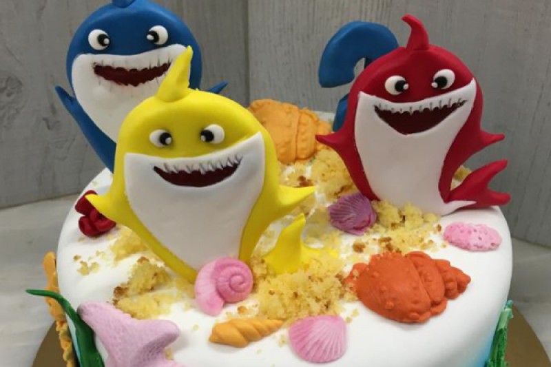 bolo tubarões brisanorte