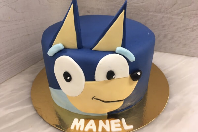 bolo sonic brisanorte